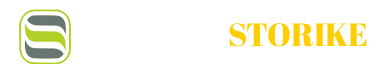 諸城市金隆機械制造有限責任公司